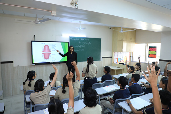 Interactive Panel Classroom